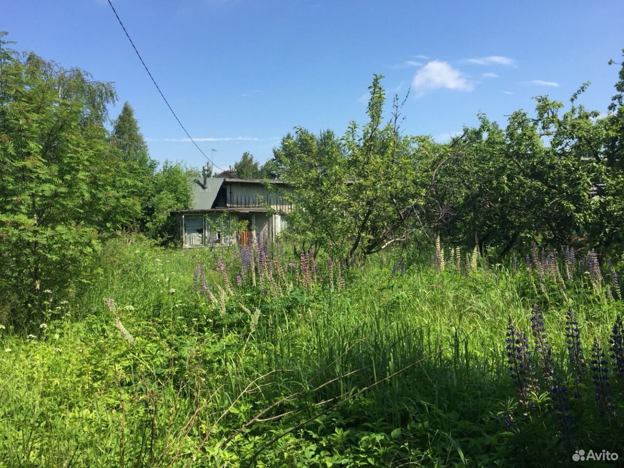 Купить Участок В Дивенской Лужский Район