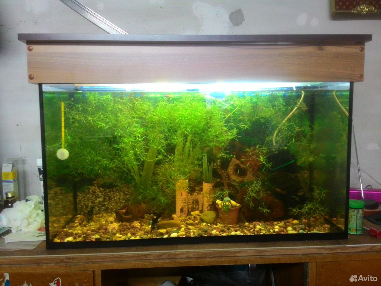 аквариум риф 300. авито туймазы рыбки аквариумные. аквариум 450 литров. аквариум биодизайн риф 280. аквариум волна купить.
