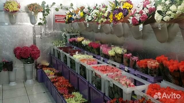 Розы опт и розн купить на Зозу.ру - фотография № 7