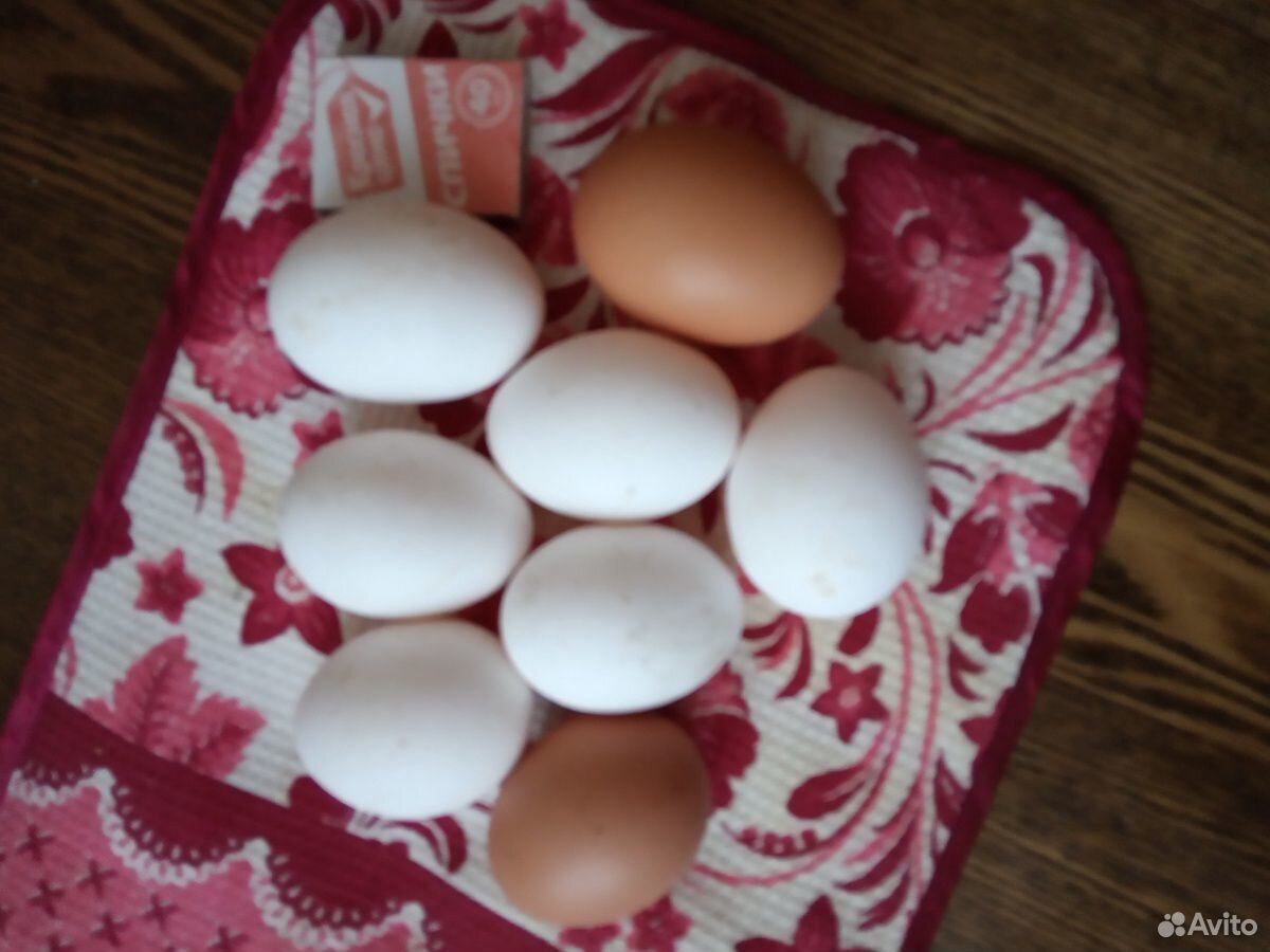 Яйца от домашних курочек купить на Зозу.ру - фотография № 4