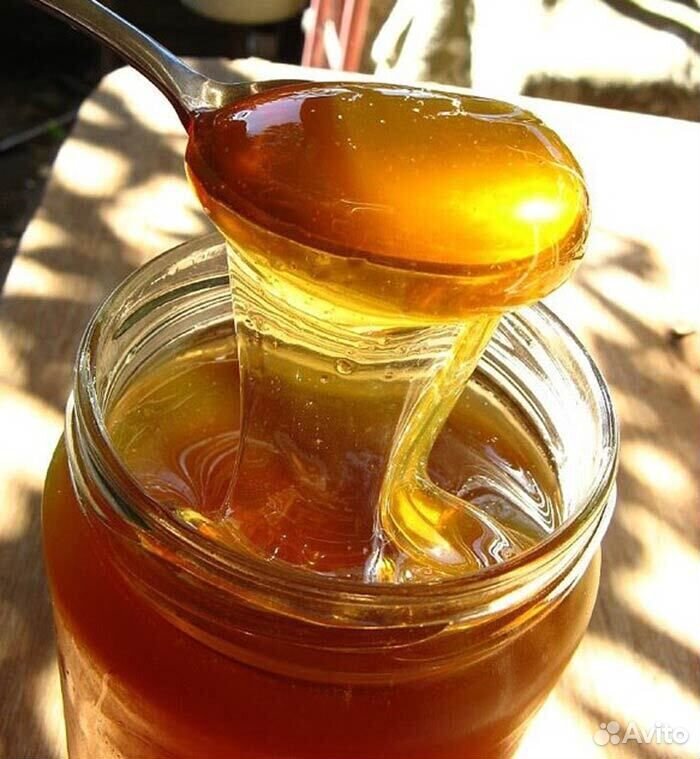 Мёд купить на Зозу.ру - фотография № 8