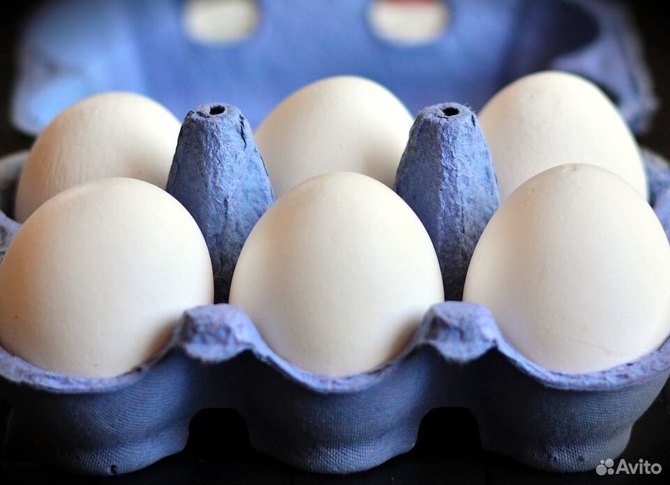Яйцо от домашних курочек купить на Зозу.ру - фотография № 1