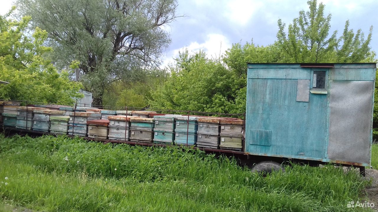 Пчеловодческий инвентарь купить на Зозу.ру - фотография № 3