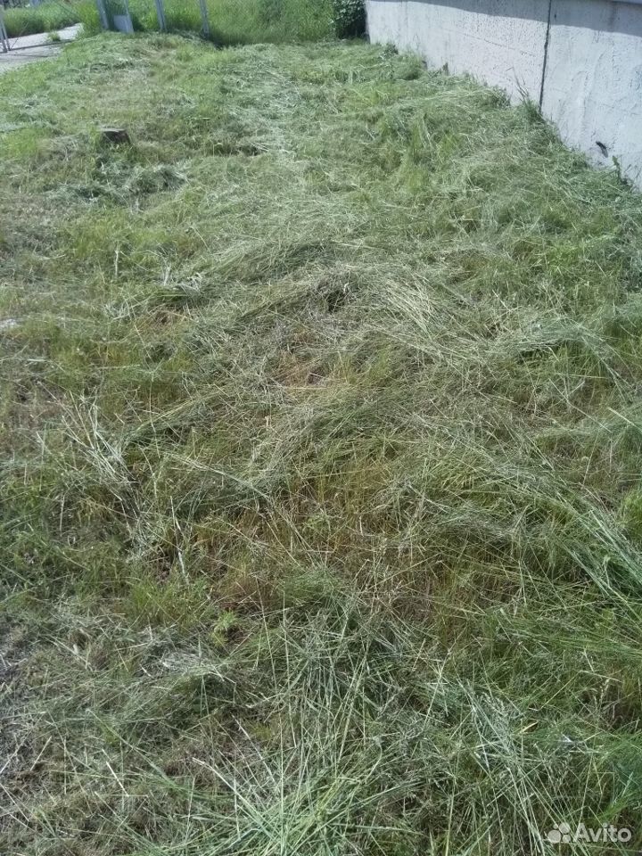 Трава скошенная купить на Зозу.ру - фотография № 3