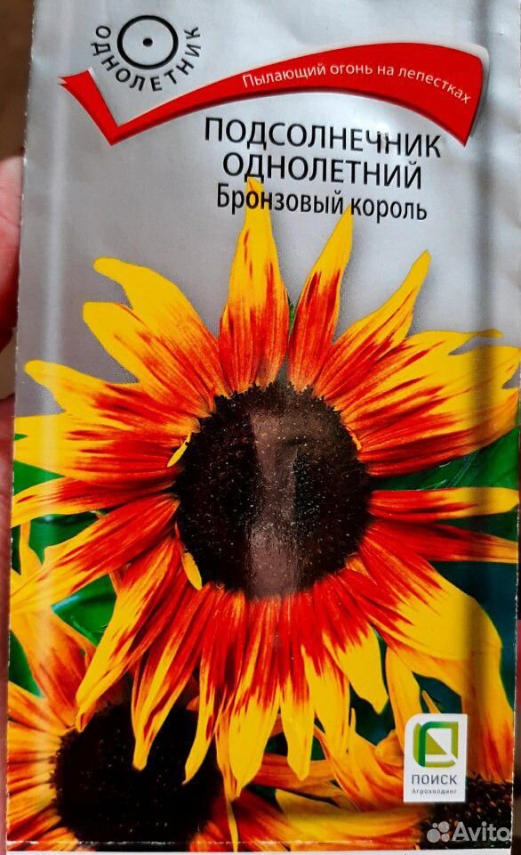 Рассада цветов купить на Зозу.ру - фотография № 10