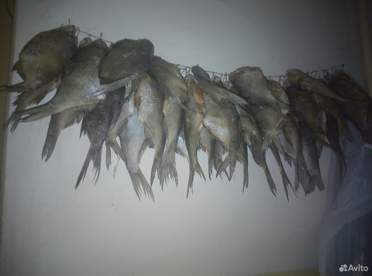 Рыба вяленая купить на Зозу.ру - фотография № 2