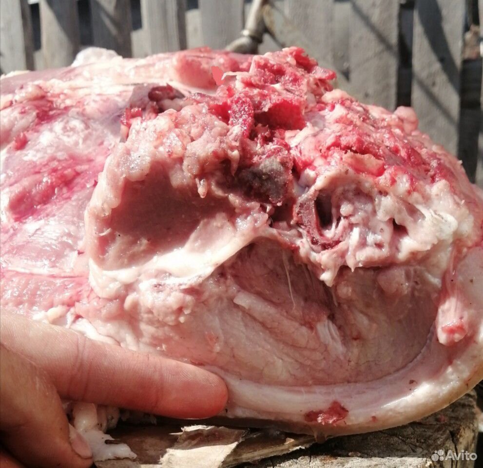 Мясо свинина домашняя купить на Зозу.ру - фотография № 1