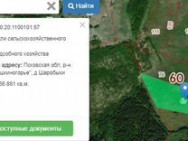 Аренда на 49 лет земельного. Аренда земли на 49 лет цена. Сколько стоит сотка земли в Псковской области.