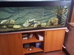 400 литровый аквариум