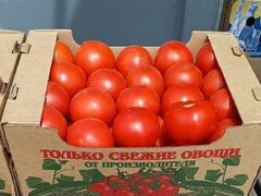 Помидоры/томаты сорт Лоджейн