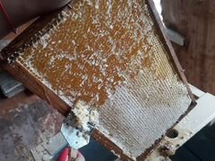 Продам мед с собственной пасеки