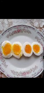 Домашнее яйцо