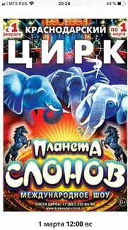 Билеты в цирк «Планета Слонов» на 1 марта
