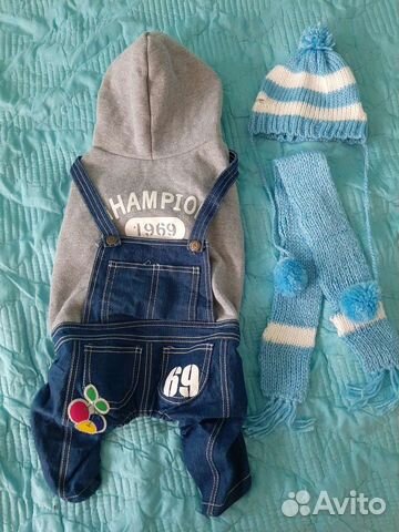 Одежда для собак