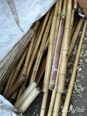 Ствол бамбука, бамбук, половинки бамбука