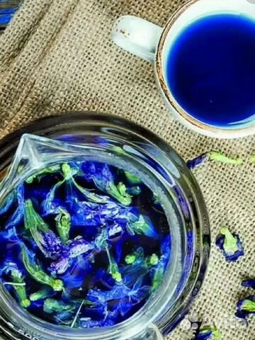 Анчан, синий чай, тайский чай