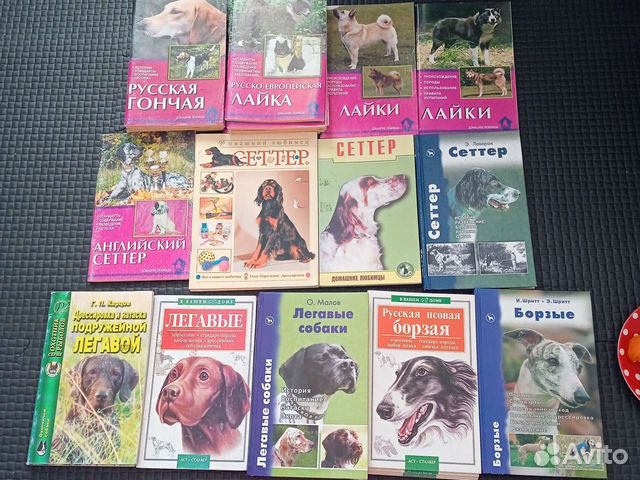 Книги русская гончая, лайка, сеттер, легавая, борз