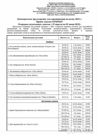 Саженцы Кизильника блестящего (Окс)