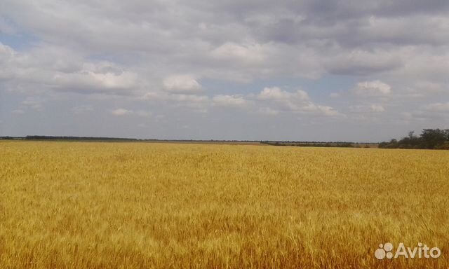 его аренда земли сельскохозяйственного назначения в крыму ним был