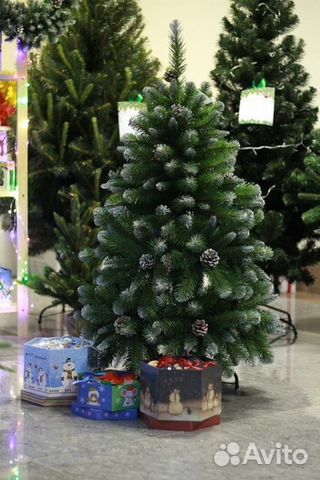 Новогодняя Ель Императрица С Шишками Новогодняя Ель Императрица С Шишками