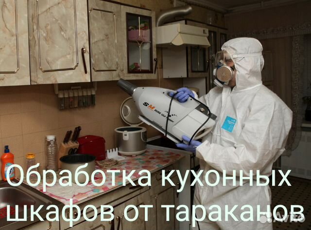 Мы травим качественно тараканов, клопов,муравьев Мы травим качественно тараканов, клопов,муравьев
