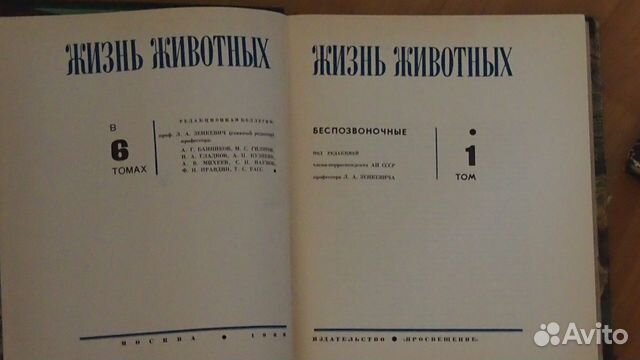 Серия Серия