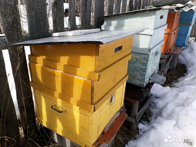 Продам улья для пчел купить на Зозу.ру - фотография № 1