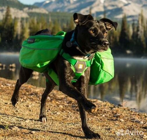 Рюкзак для собак купить на Зозу.ру - фотография № 2