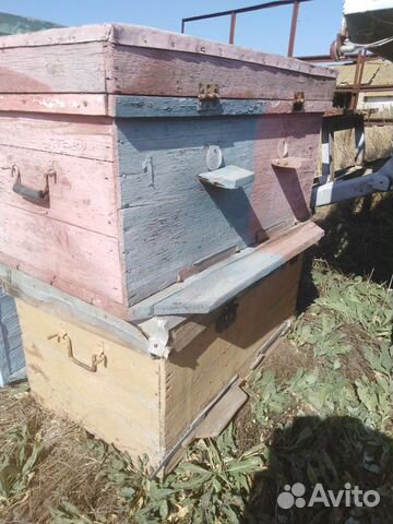 Улья для пчёл купить на Зозу.ру - фотография № 1