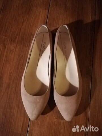ecco pointy