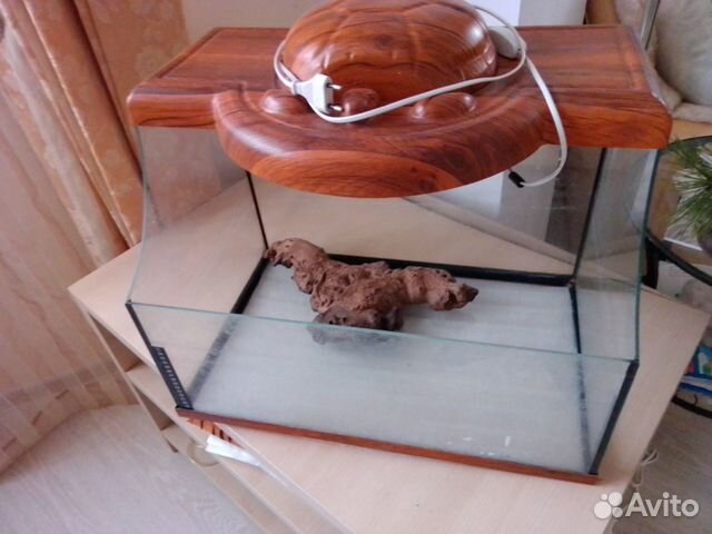 Черепашатник террариум аквариум Гесса (54см на 35