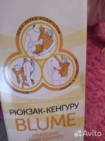 Кенгуру Кенгуру
