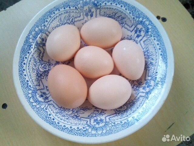 Куриные яйца (кушать или на инкубацию) купить на Зозу.ру - фотография № 3