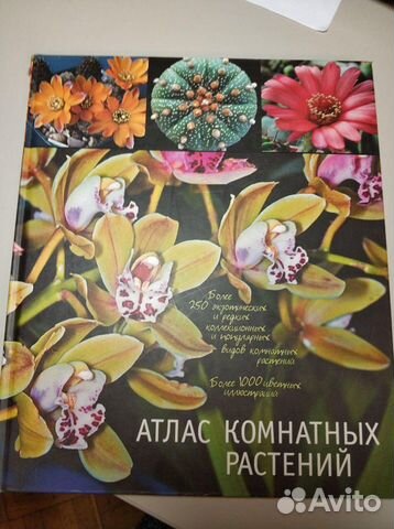 Атлас комнатных растений