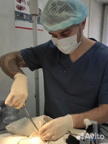 Ветеринарный врач на дом