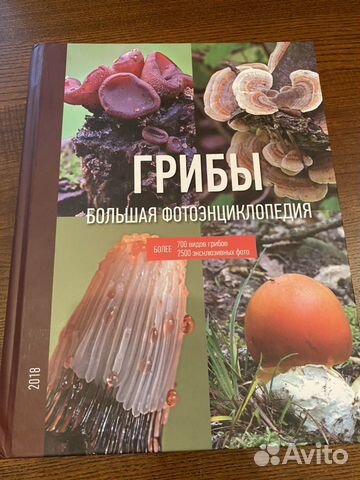 Книга про грибы Книга про грибы