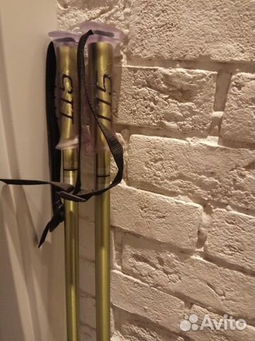 Новые горнолыжные палки Elan Exar 115