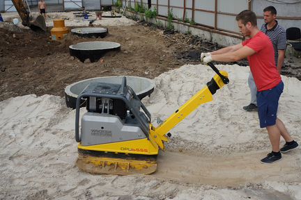 Аренда виброплиты Wacker Neuson 50-1200 кг