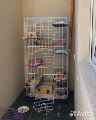 Огромная клетка для грызунов (крыс, шиншил, дегу)