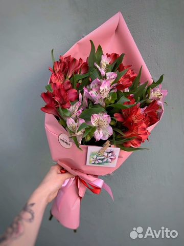 Альстромерия цветы доставка букетов Вологда