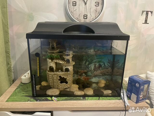 Аквариум