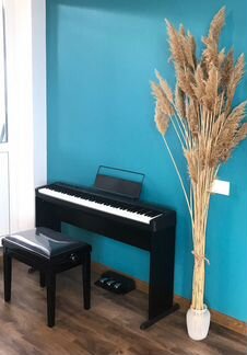 Цифровое пианино Casio CDP-S160 + стойка