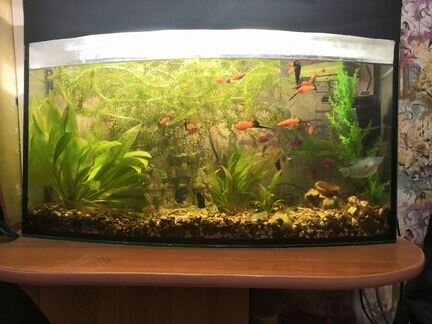 Аквариум Большой со столом и фильтром