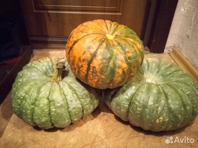 Излишки со своего огорода