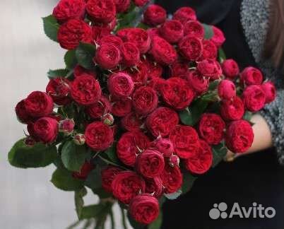 Розы Пионовидные.Букет.Купить