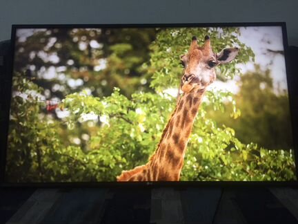 Телевизор LG Ultra HD (4K) 49”