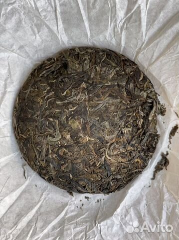 Шен Пуэр одиночное дерево, 600 лет