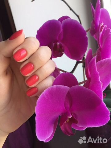 Маникюр и педикюр