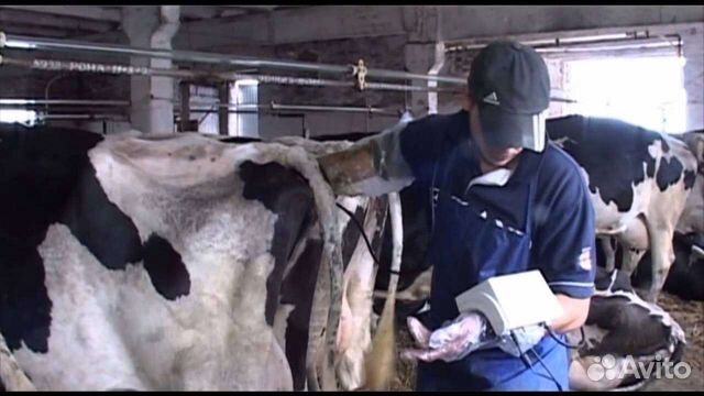 Технолог по Воспроизводству-Ветврач