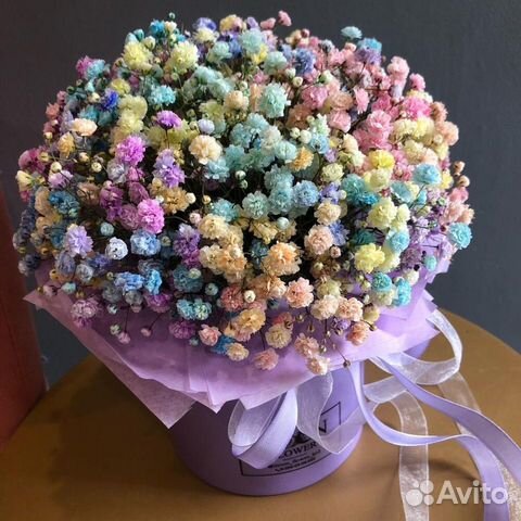 Радужная Гипсофила в коробочке